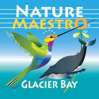 glacier bay itunes connect icon 1024